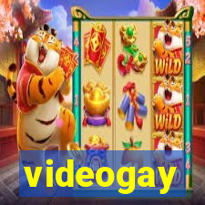 videogay