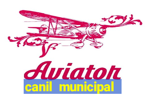 canil municipal porto alegre