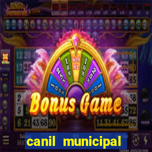 canil municipal porto alegre