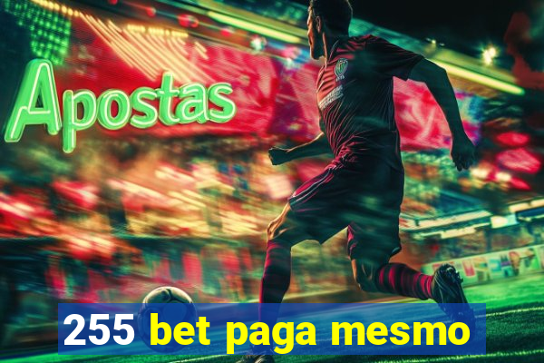 255 bet paga mesmo