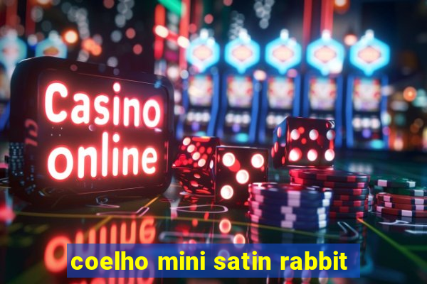 coelho mini satin rabbit