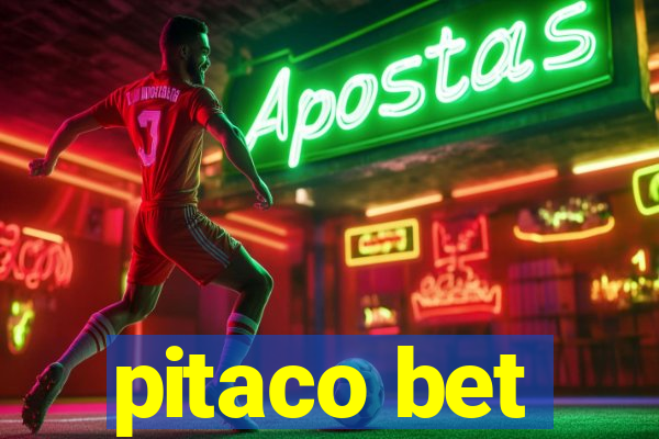 pitaco bet