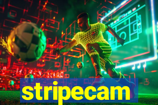 stripecam