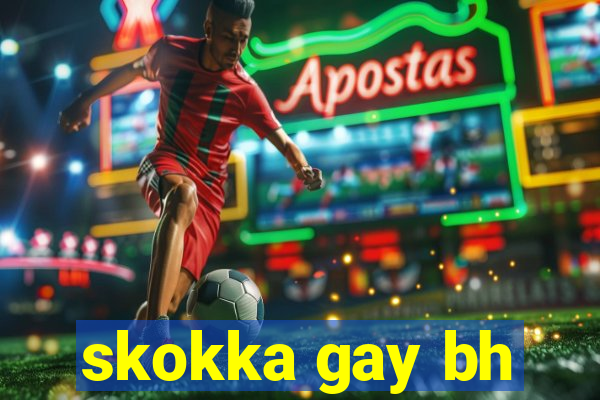 skokka gay bh