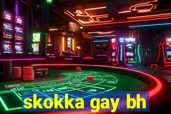 skokka gay bh