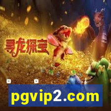 pgvip2.com