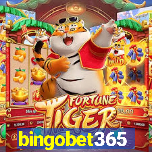 bingobet365