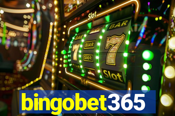 bingobet365