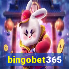 bingobet365