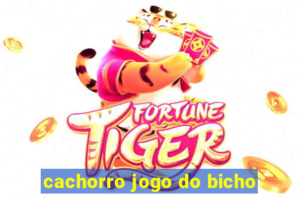 cachorro jogo do bicho