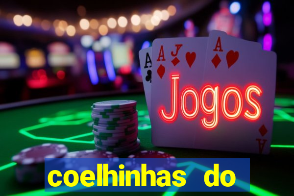 coelhinhas do brasil site