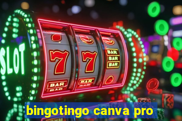 bingotingo canva pro