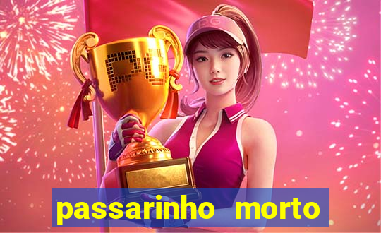 passarinho morto significado espiritual