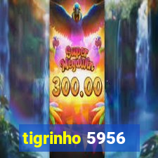 tigrinho 5956