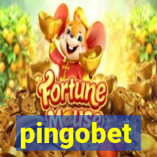 pingobet