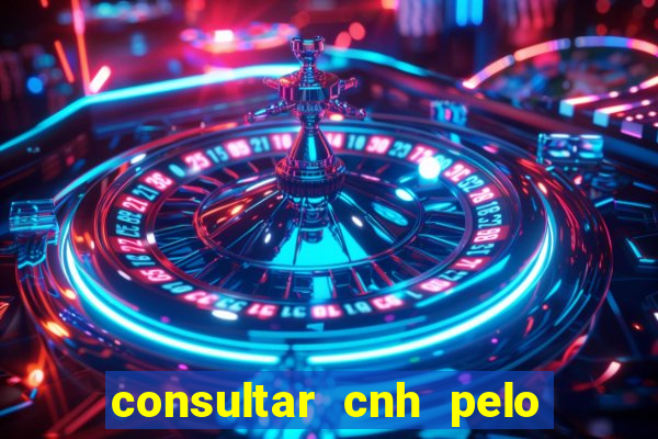 consultar cnh pelo cpf sp