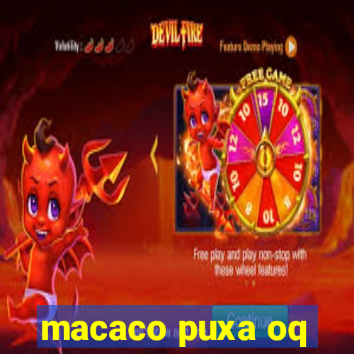 macaco puxa oq