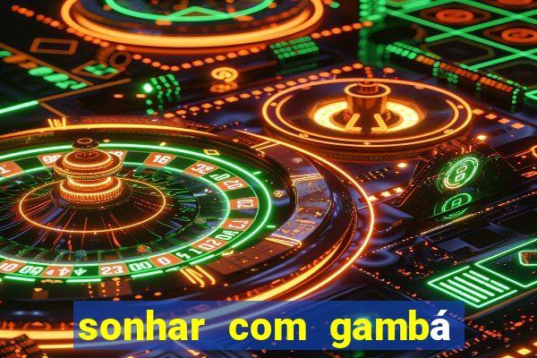 sonhar com gambá jogo do bicho