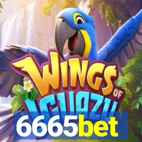 6665bet