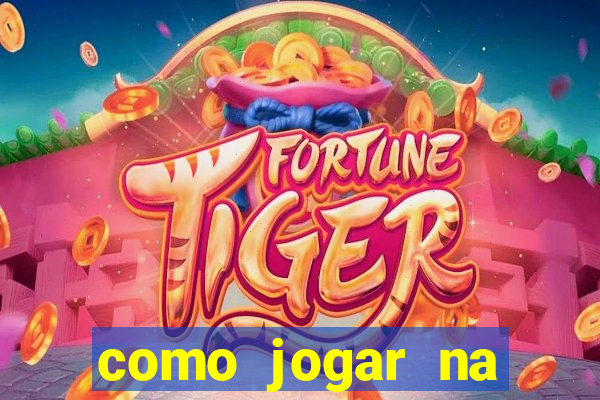 como jogar na loteca pela internet