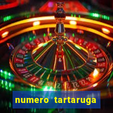 numero tartaruga jogo do bicho