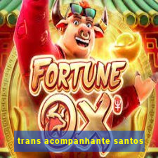 trans acompanhante santos