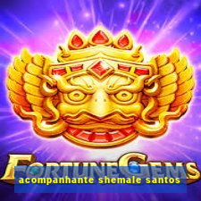 acompanhante shemale santos