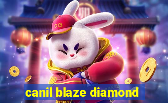 canil blaze diamond