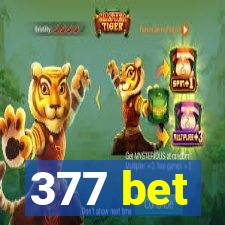 377 bet