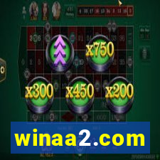 winaa2.com