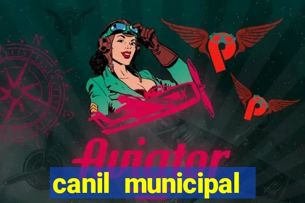 canil municipal porto alegre