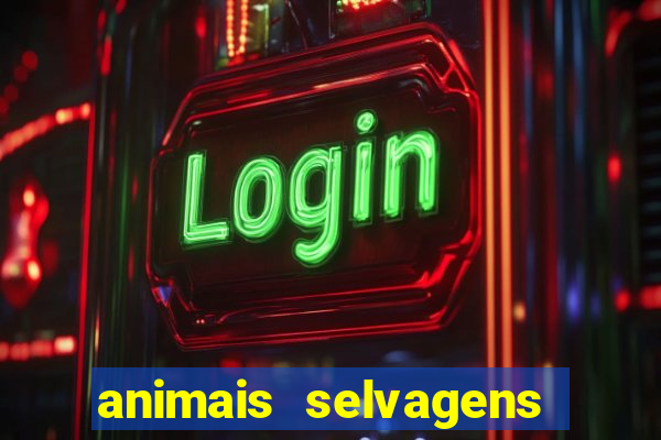 animais selvagens fotos e nomes