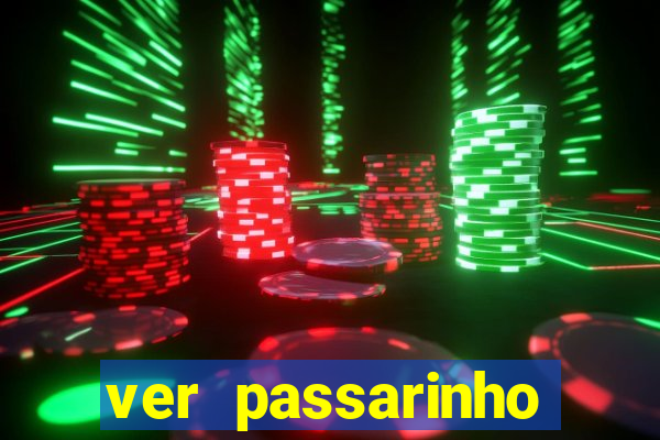 ver passarinho morto significado