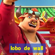 lobo de wall street online