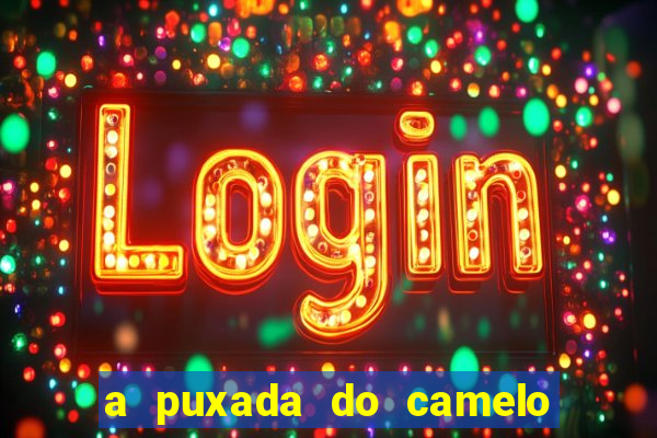 a puxada do camelo no jogo do bicho