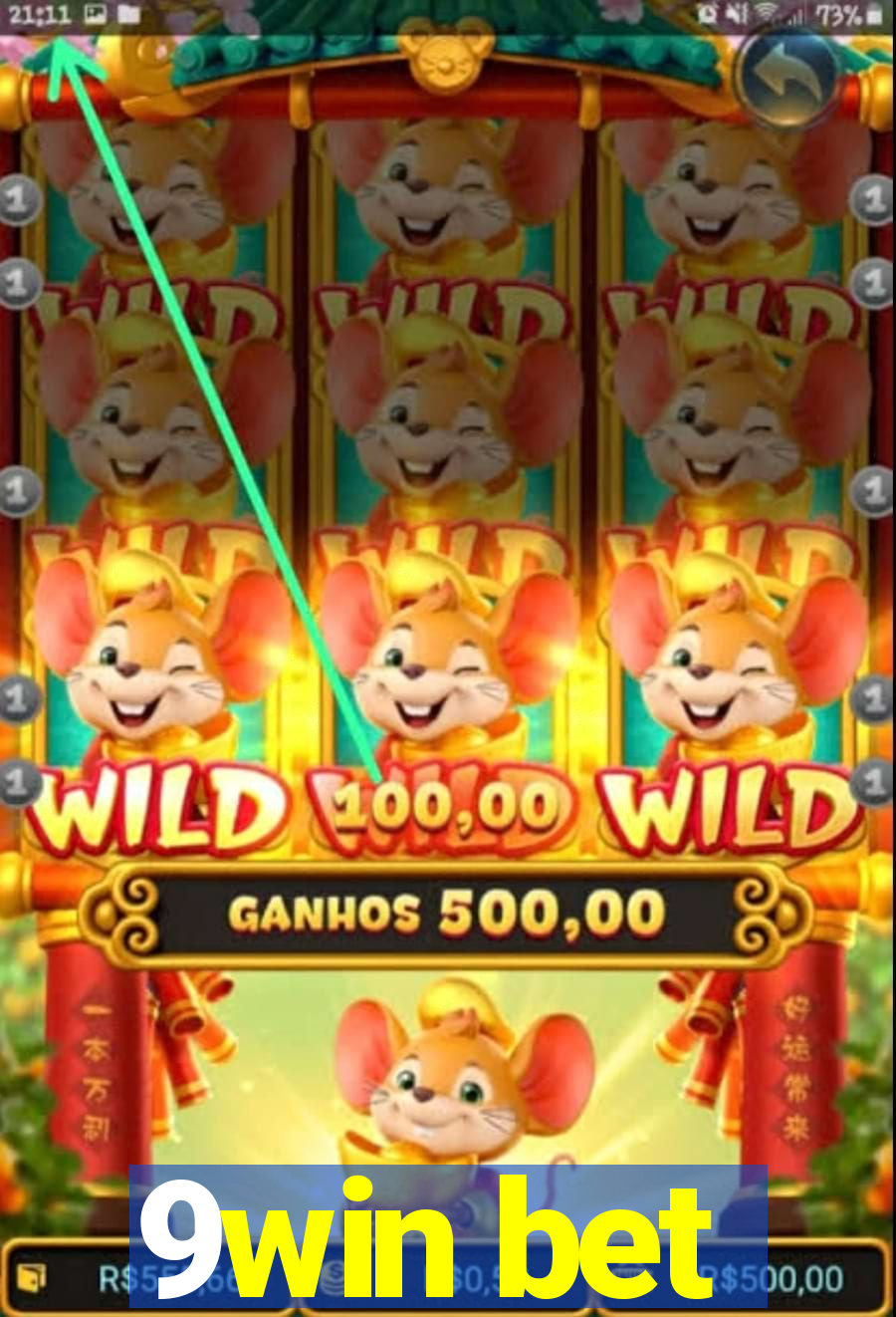 9win bet