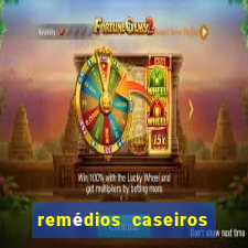 remédios caseiros para baixar diabetes