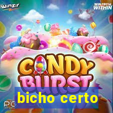 bicho certo
