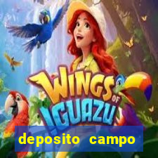 deposito campo grande santos